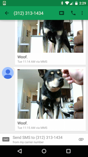 My dog texts me a selfie