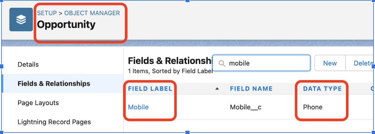 Custom field to store the mobile number of opportunity.