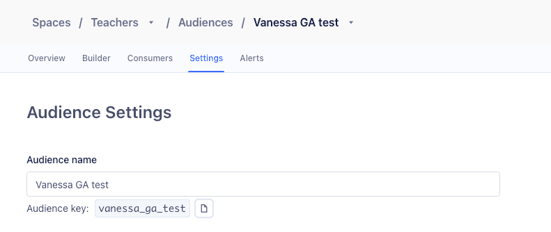 Sample Audience Settings tab showing name 'Vanessa GA test' and key 'vanessa_ga_test'.