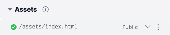 Assets section showing index.html path set to public.
