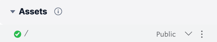 Assets section with root path and public visibility setting.
