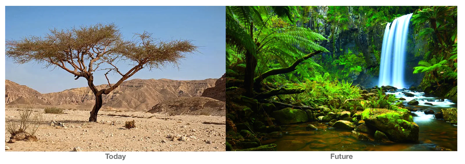 today-v-future.png Split image: “Today” shows a barren desert with a lone tree; “Future” shows a lush rainforest with a waterfall.