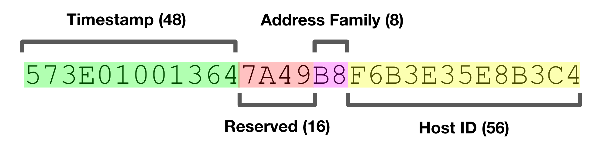 A diagram of a structured data string divided into sections: Timestamp, Address Family, Reserved, and Host ID, with color coding for each section.