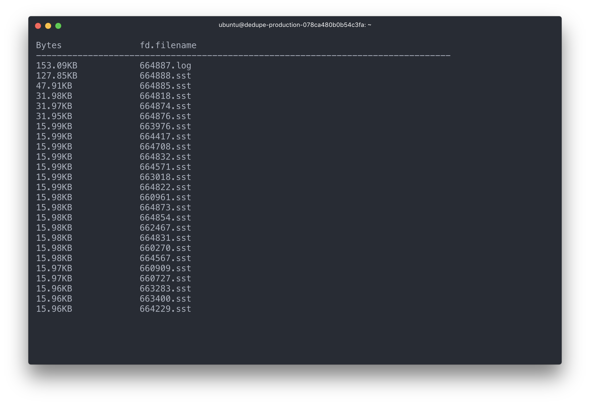 Terminal window listing files by size, showing .log and .sst files with their byte sizes and filenames.