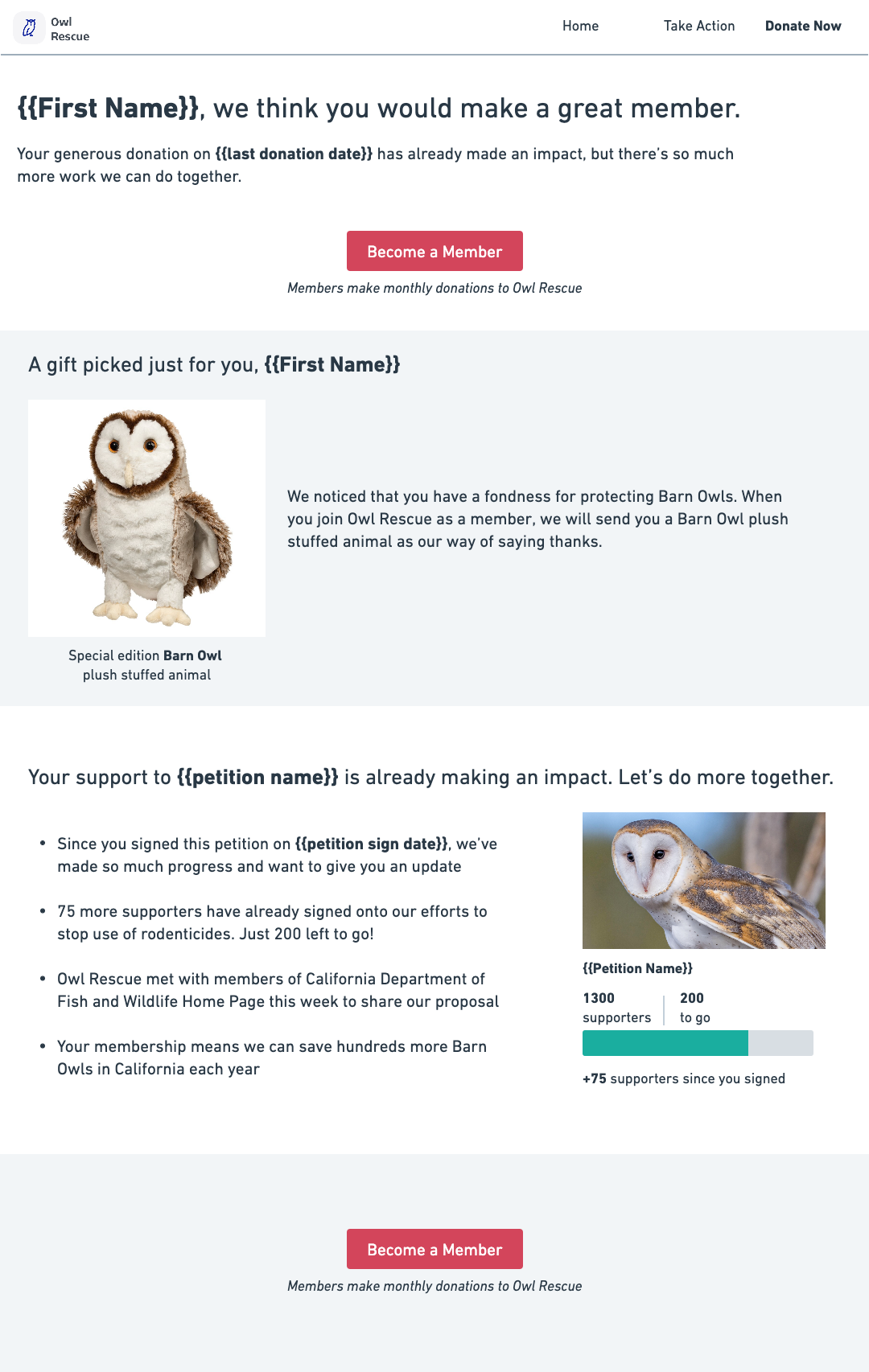 Donor membership appeal email from Owl Rescue, personalized with donor name, featuring a barn owl plush, donation impact updates, and a “Become a Member” button.