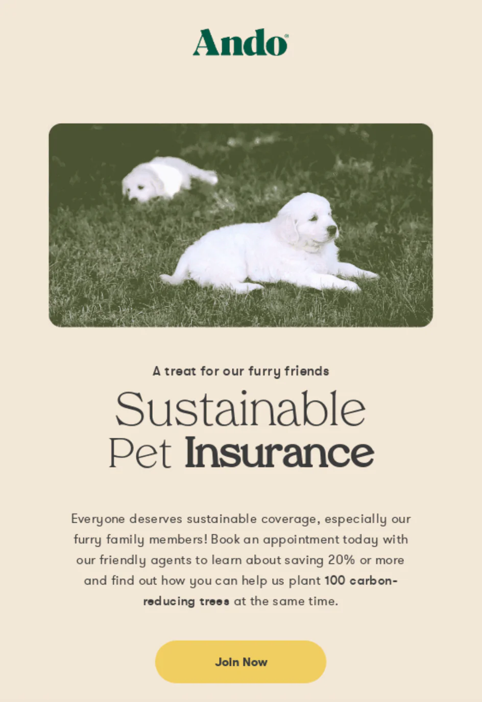 email-marketing-for-insurance - 1 Illustration of a family standing in front of a house with a security shield symbol