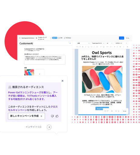 Customized email using CustomerAI for a recommended customer audience Customized email using CustomerAI for a recommended customer audience