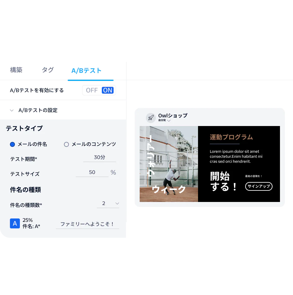 Marketing dashboard displaying A/B testing settings and email content preview for Owl Shop.