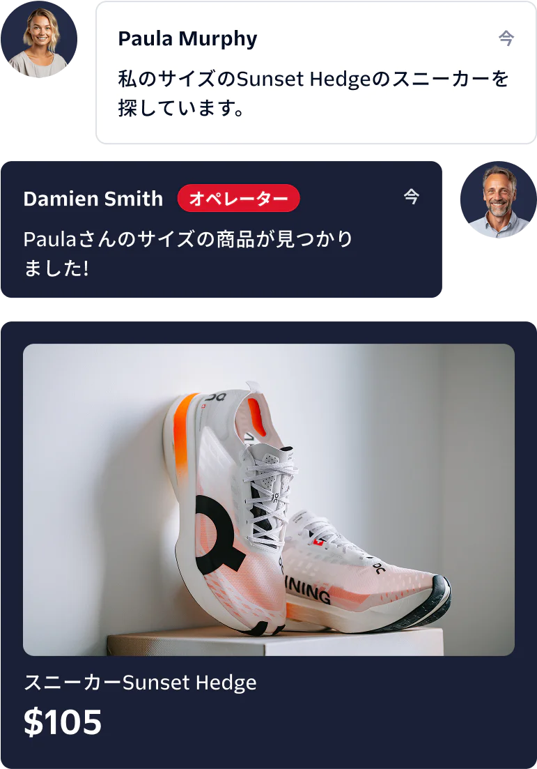 Chat between Paula and Damien about Sunset Hedge sneakers, with an image of the sneakers and their price.