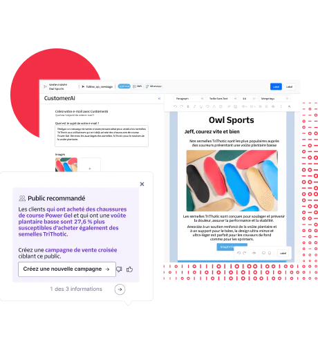 Customized email using CustomerAI for a recommended customer audience Customized email using CustomerAI for a recommended customer audience