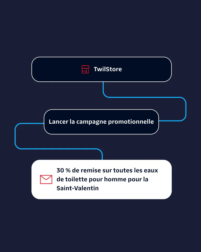 Flowchart showing TwilStore's promotional campaign offering 30% off on men's perfumes for Valentine's Day.