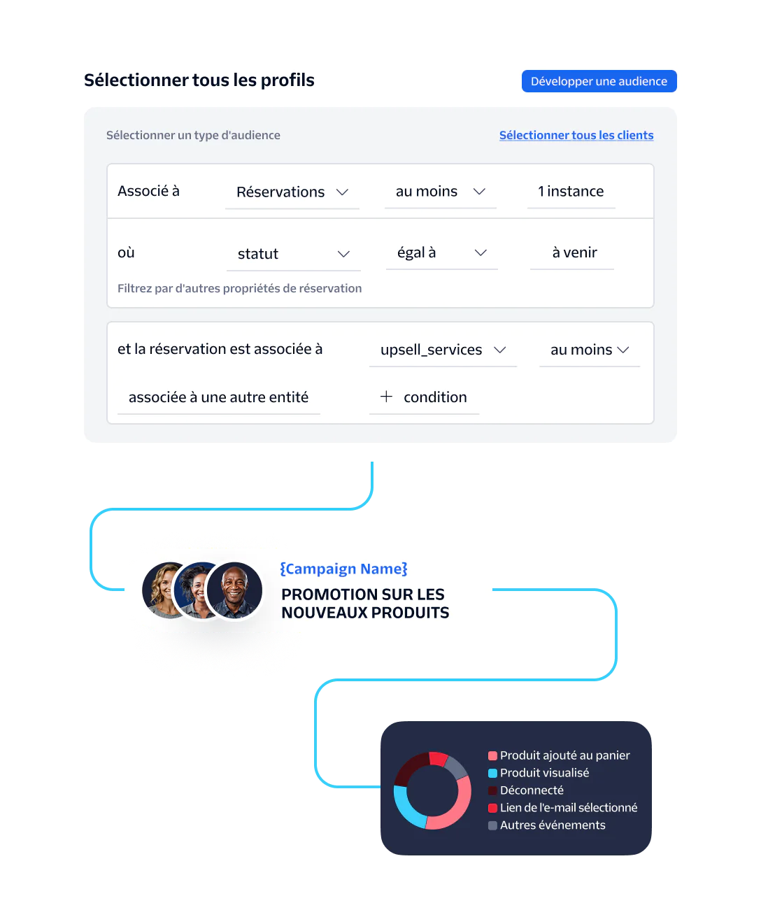 UI interface for audience selection, campaign promotion flowchart, and analytics pie chart