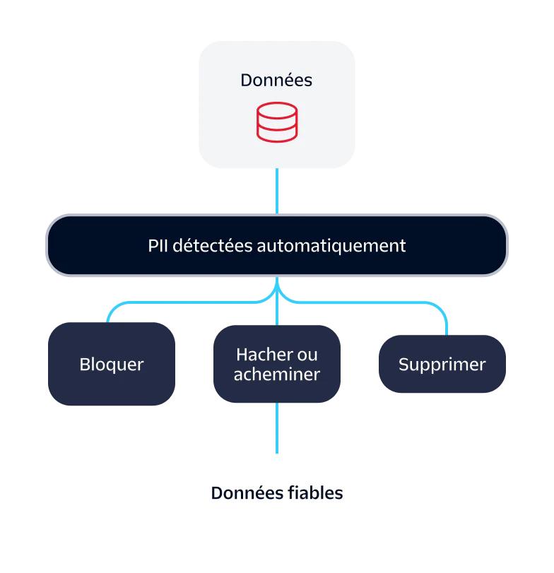 Diagram showing a data flow with auto PII detection leading to block, hash or route, and delete or suppress actions