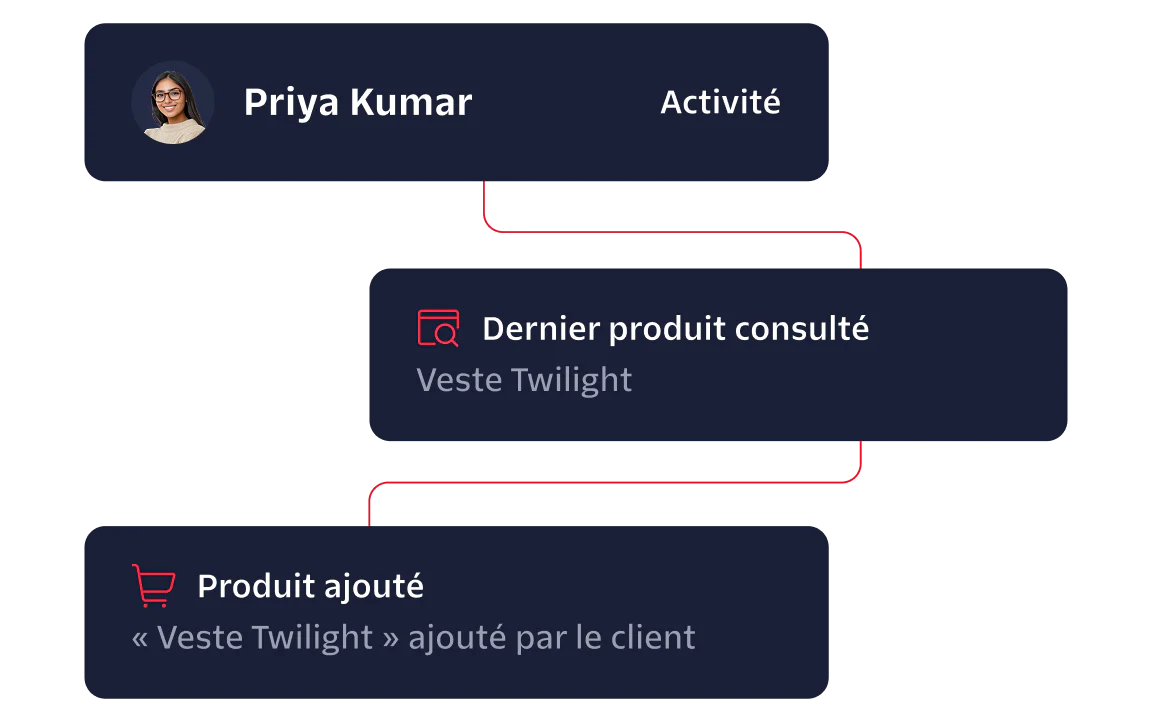 Flowchart showing Priya Kumar's activity; last product seen was 'Twilight Jacket' and added 'Twilight Jacket' to cart.