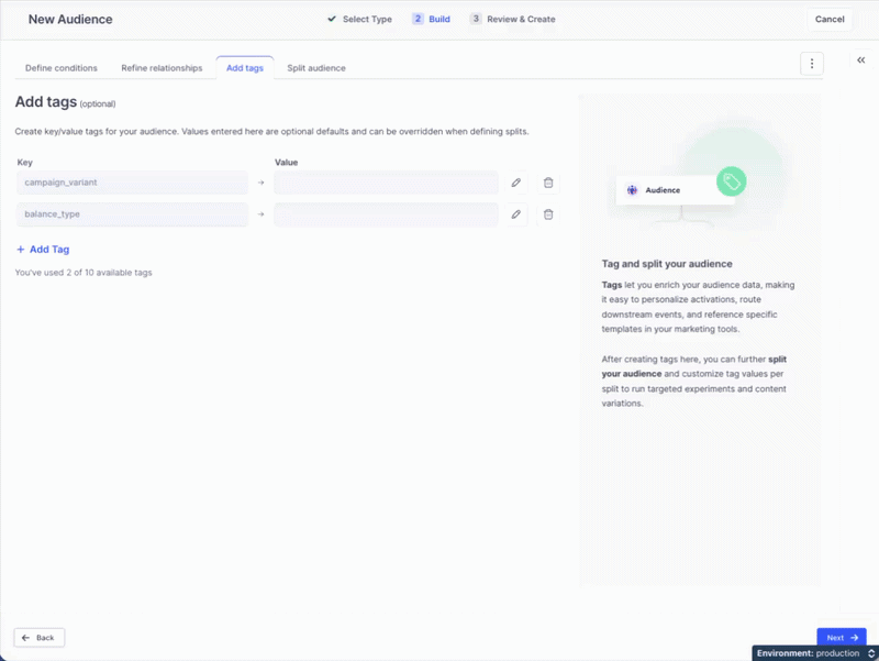 Interface showing steps to add tags for a new audience in a marketing platform.