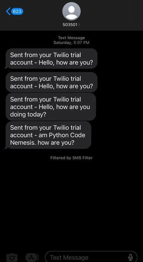 SMS sent from Twillio Messaging API