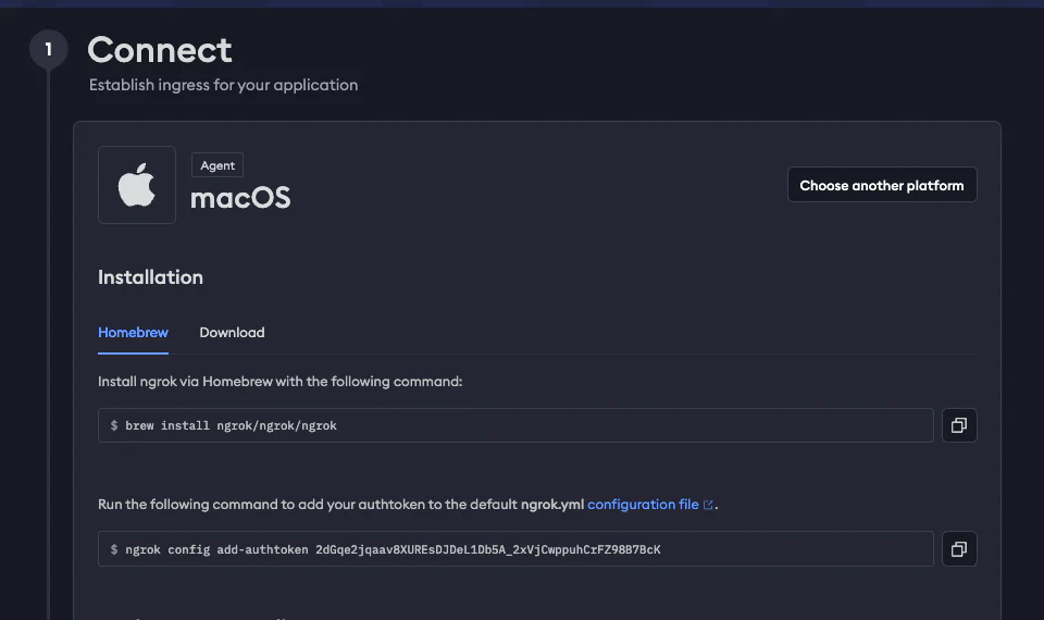 The ngrok dashboard showing the commands for setting up on a macOS