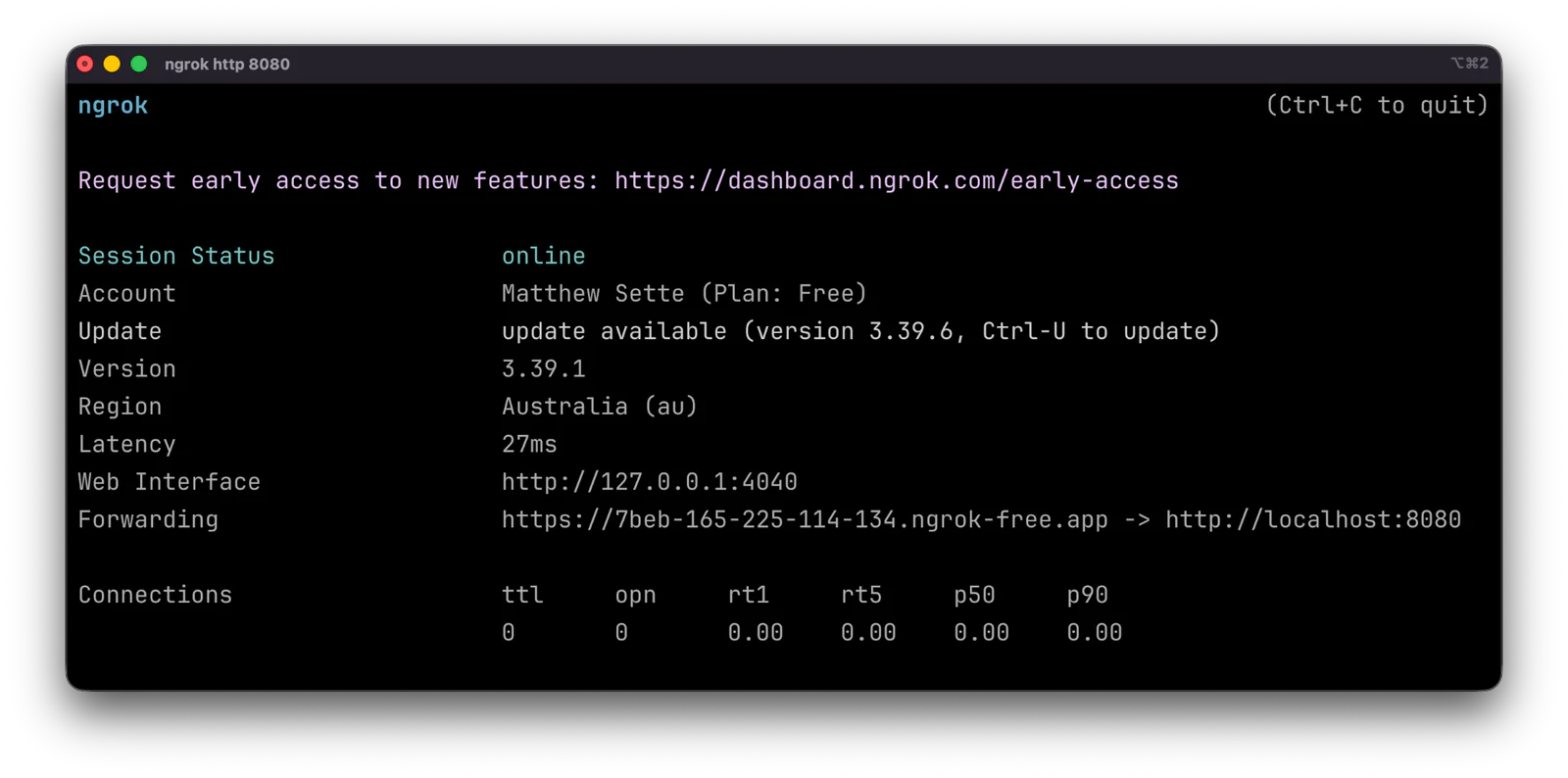 A terminal window showing ngrok output.