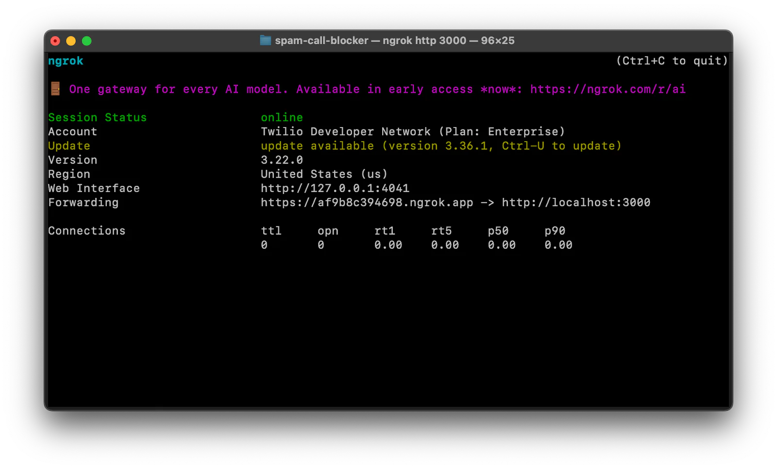 Screenshot of Ngrok terminal displaying Twilio Developer Network status with online server and connection details.