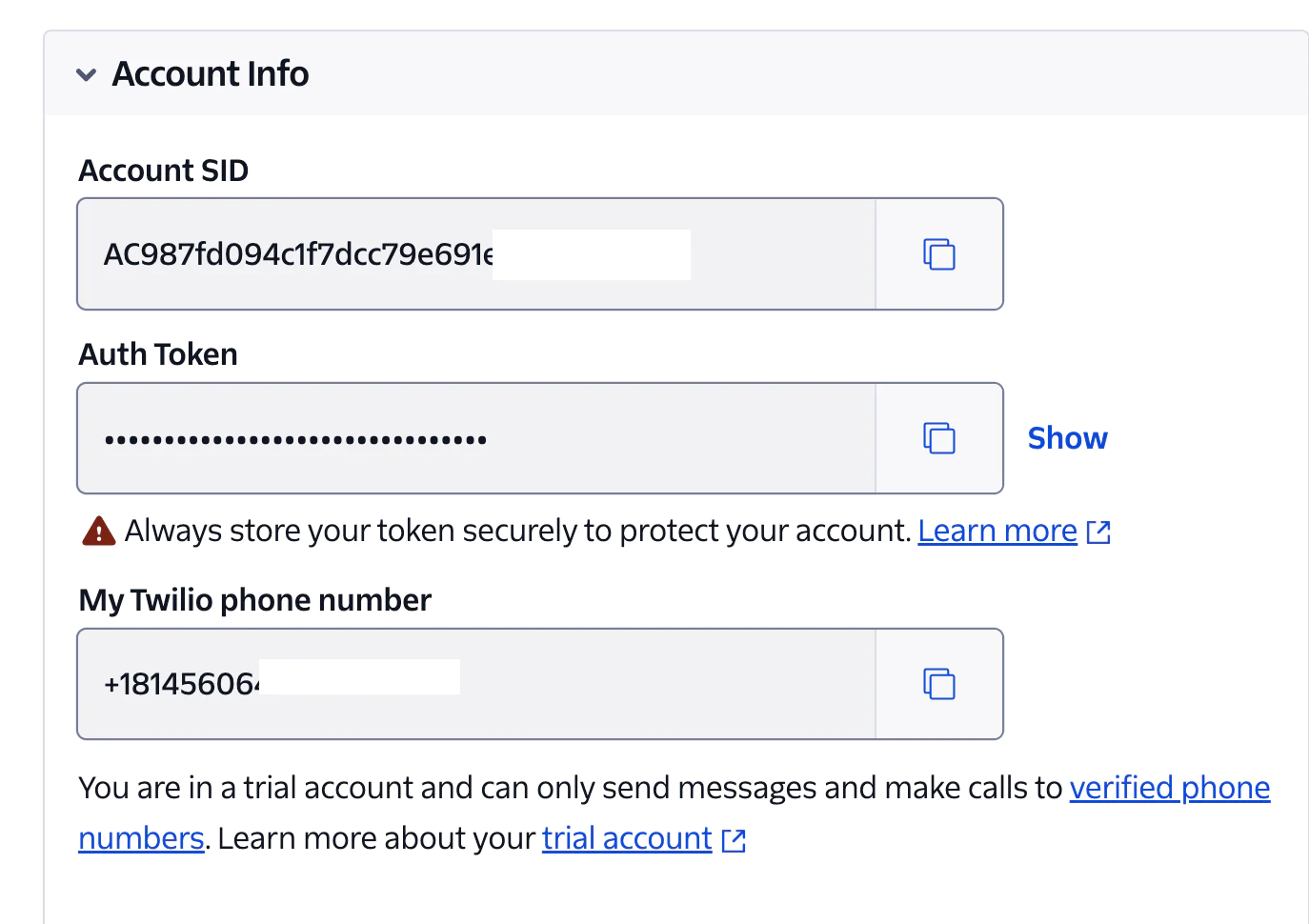 Twilio account information