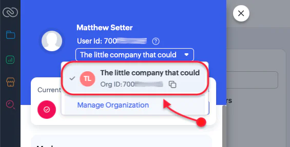 Interface showing user profile details and organization management options with a highlighted organization.