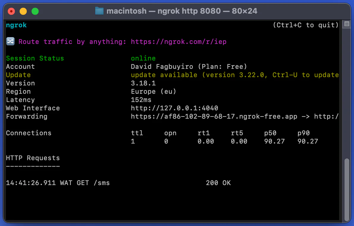 Terminal window showing ngrok session details, HTTP request, and connection statistics. Ngrok interface