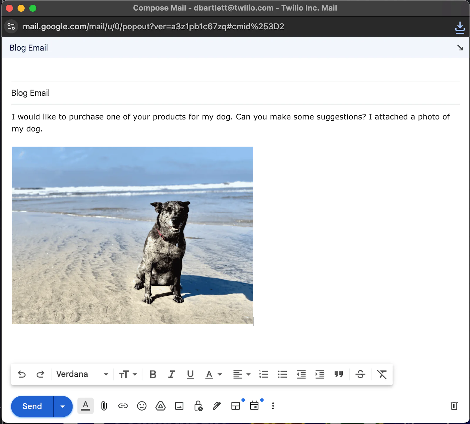 Email composition with a photo of a black and white dog sitting on a beach attached