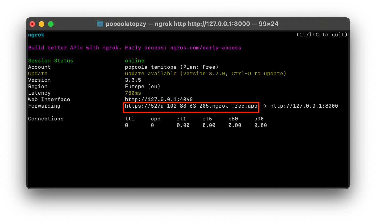 Screenshot of terminal showing ngrok tunnel details including online status, region, and public URL.