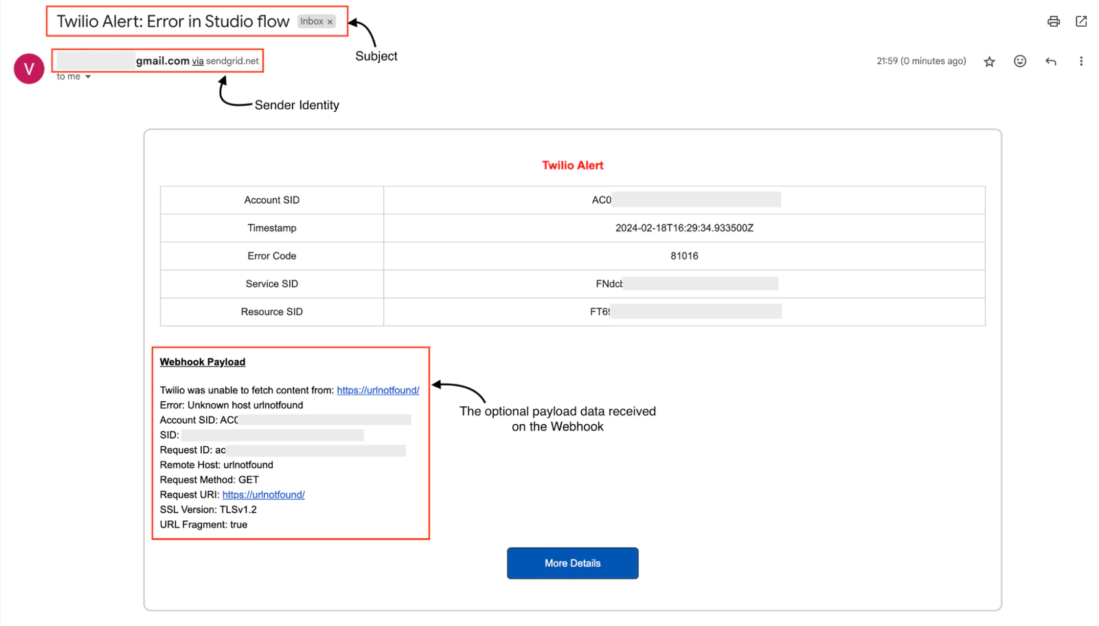 Image showing a GMail inbox which received a custom alert. Highlights the payload, alert type, and sender.