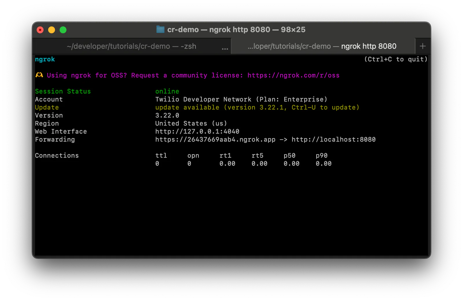 Terminal screenshot showing ngrok tunnel with Forwarding URL