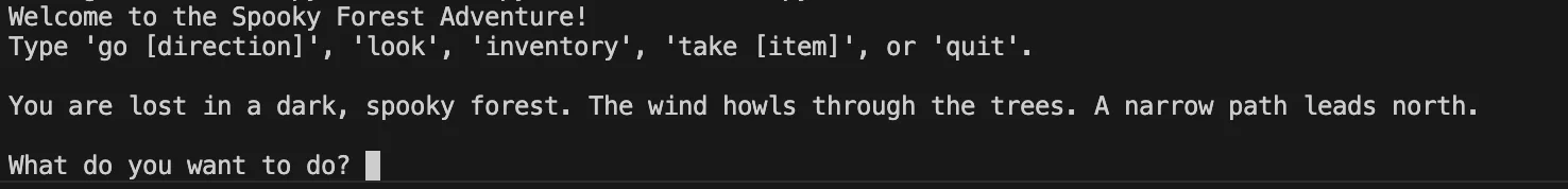 Welcome to the spooky forest adventure!
Type 'go direction', 'look', 'inventory', 'take item', or 'quit'.
You are lost in a dark, spooky forest. The wind howls through the trees. A narrow path leads north.
What do you want to do?