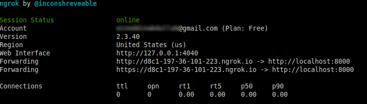 The Ngrok details including the forwarding URL that redirects the localhost to the global URL