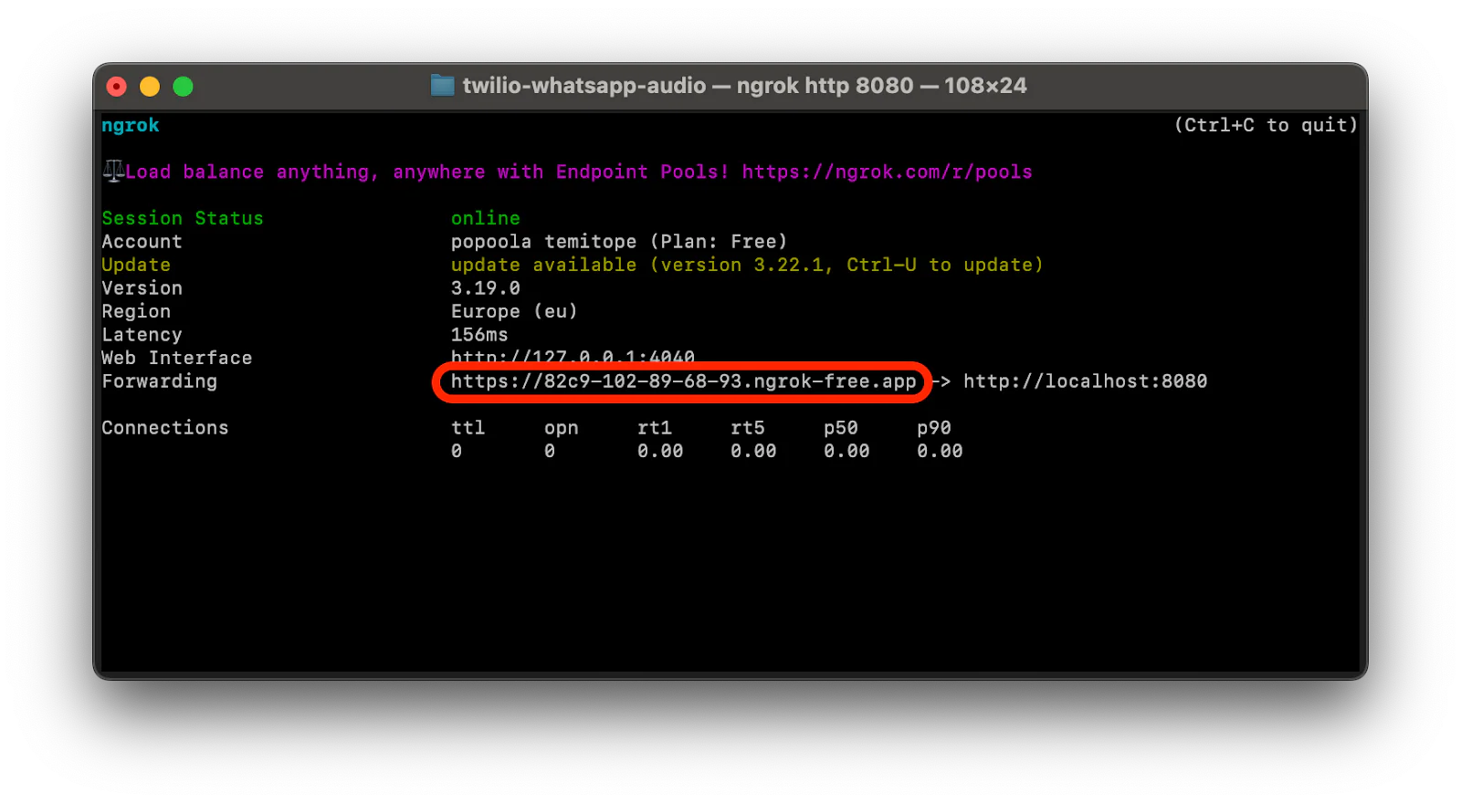 Terminal window with ngrok command output displaying online status and HTTPS session details.