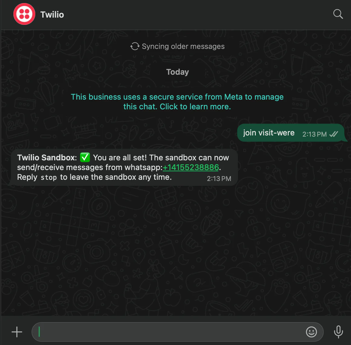 Screenshot of a WhatsApp chat integrating with Twilio Sandbox, confirming setup and providing instructions.