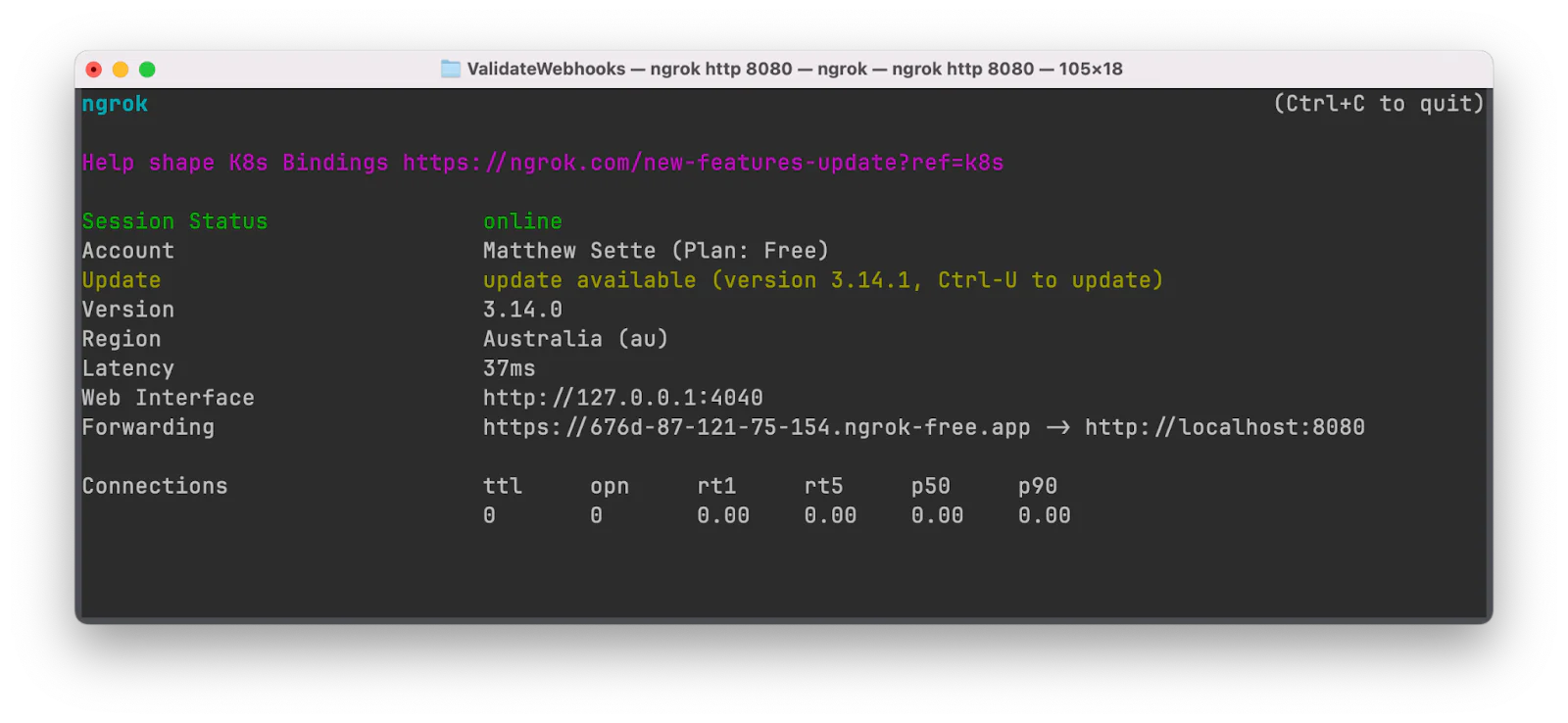 Ngrok status showing connection details and an available update for version 3.1.4.1.