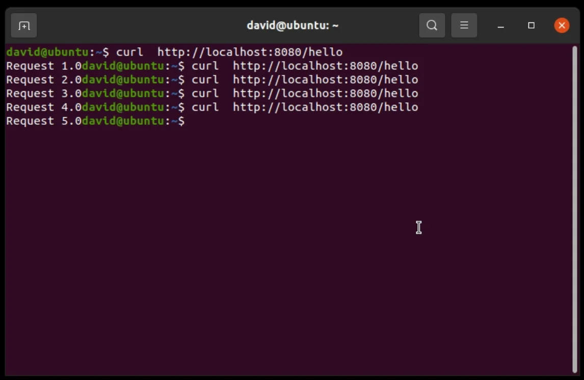 Making requests to the /hello endpoint to test the custom metric Making requests to the /hello endpoint to test the custom metric