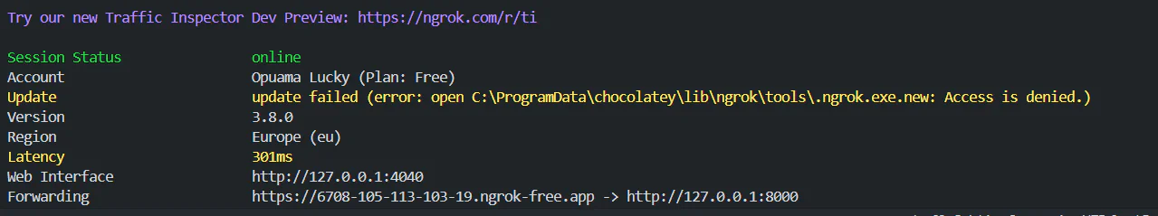 Ngrok session details show an error message for an update failure due to access being denied.
