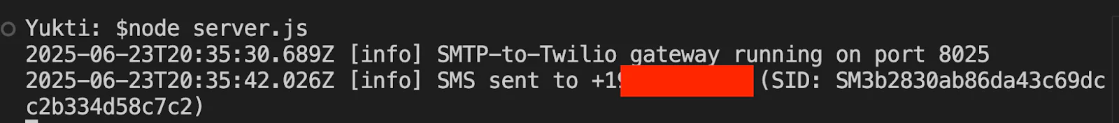 SMTP server on port 8025