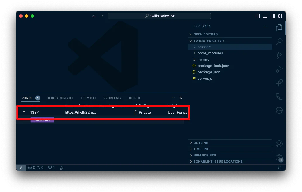 A screenshot of VS Code showing the panel open to the Ports tab. There is a table with one row showing that port 1337 is being forwarded and you can see part of the public URL. A screenshot of VS Code showing the panel open to the Ports tab. There is a table with one row showing that port 1337 is being forwarded and you can see part of the public URL.
