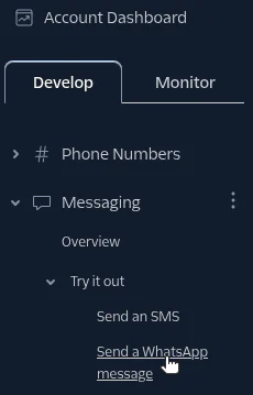 Account Dashboard with options to send SMS or WhatsApp messages under the Messaging section.