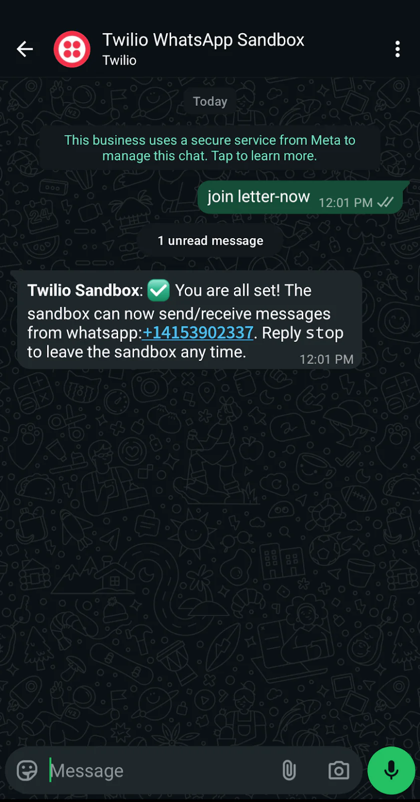 WhatsApp chat showing Twilio Sandbox setup confirmation message and instructions.