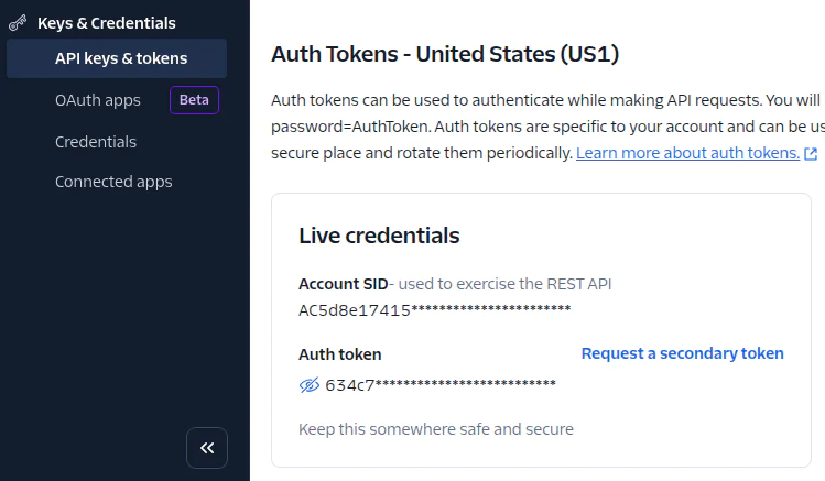 API dashboard showing auth tokens section with account details and token options.