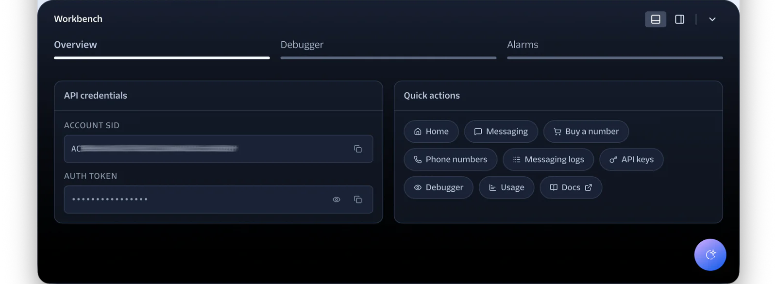 Dark-themed dashboard showing API credentials and quick action buttons in Workbench interface.