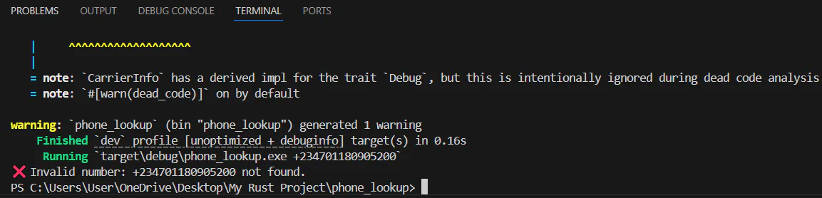 Screenshot of terminal showing Rust project output with a warning, error message, and execution info.