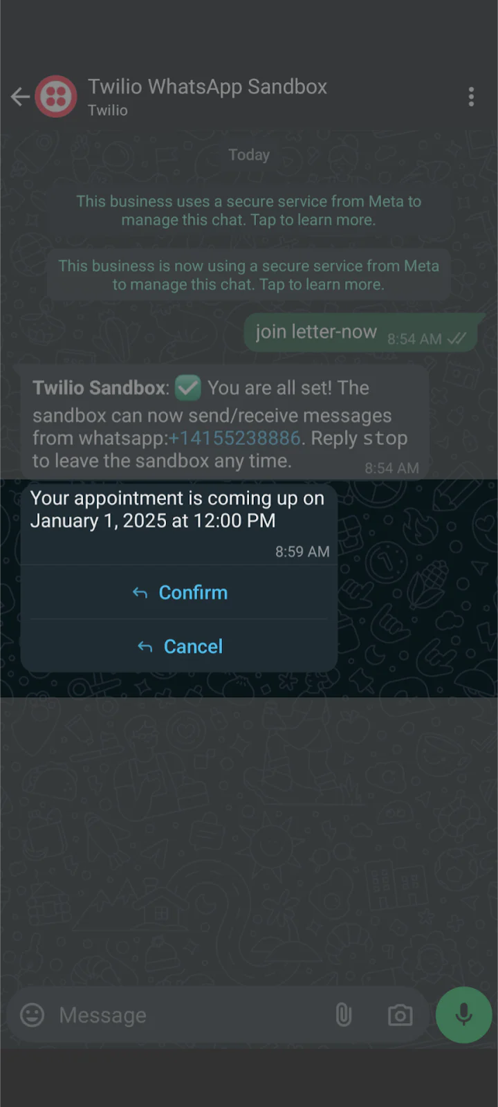WhatsApp Sandbox Appointment Reminder Screenshot of a WhatsApp chat with an appointment confirmation for January 1, 2025, at 12