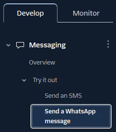 Messaging Interface Menu in Development Dashboard Interface showing a menu with options for messaging, including sending an SMS and sending a WhatsApp message.