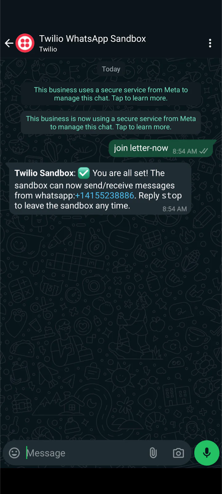 Twilio WhatsApp Sandbox Setup Message Chat interface showing Twilio WhatsApp Sandbox setup with instructions and confirmation message.