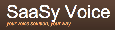 SaaSyVoice