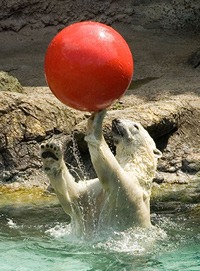 Play!