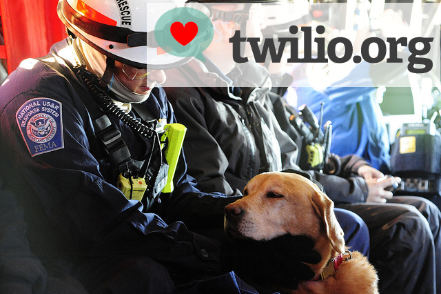 twilio_disaster_relief_dog